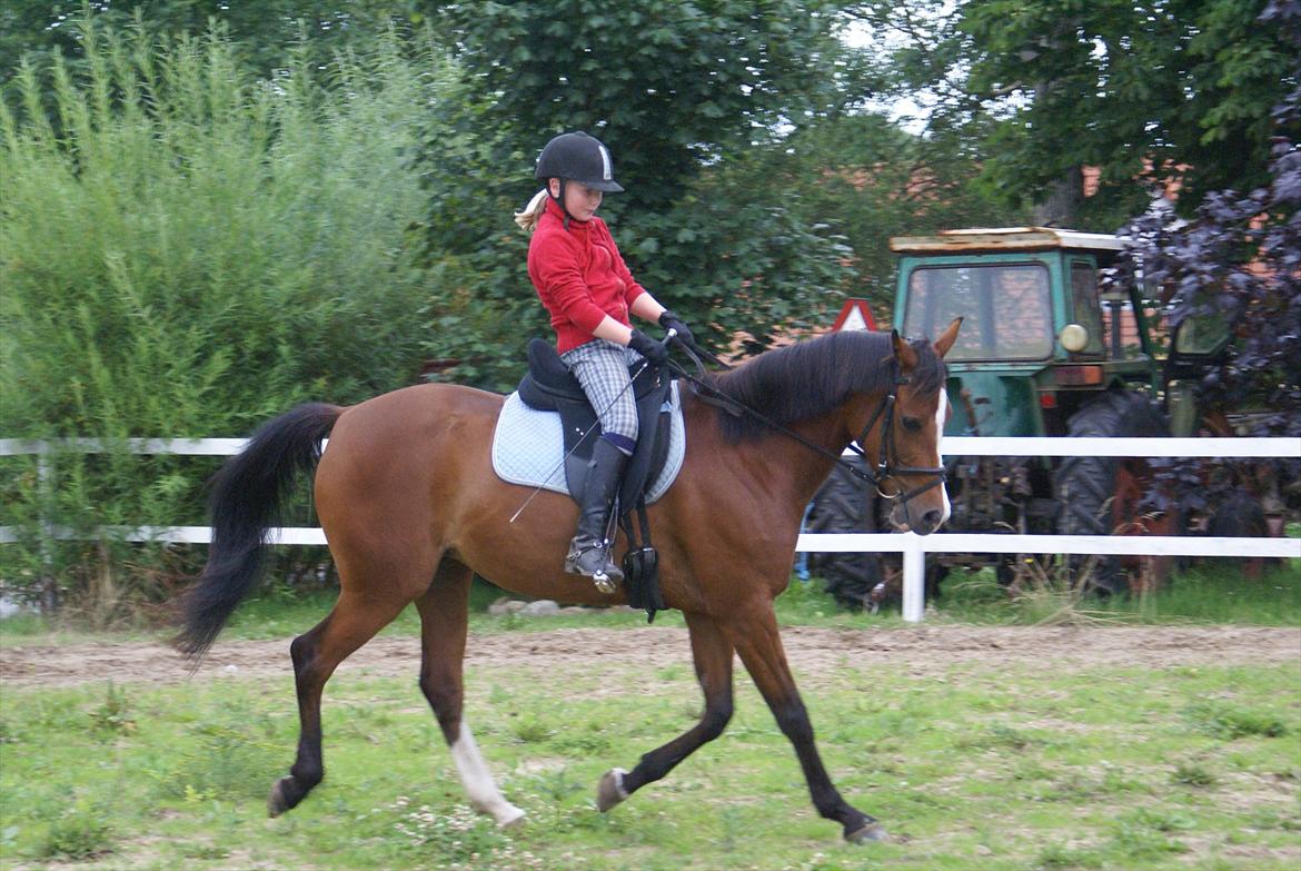 DSP Hedemands Tanita billede 15