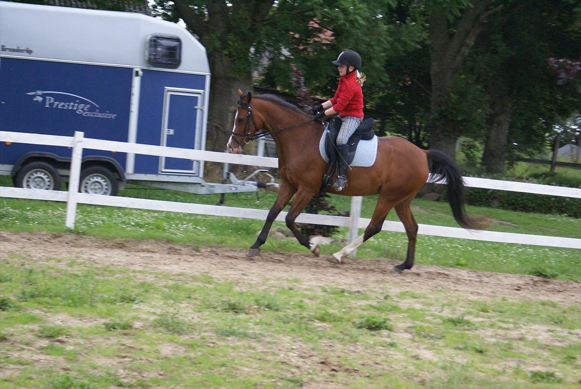 DSP Hedemands Tanita billede 18