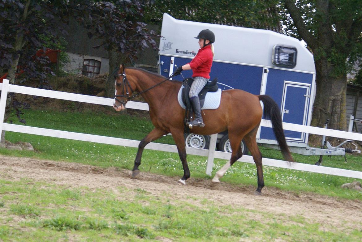 DSP Hedemands Tanita billede 20