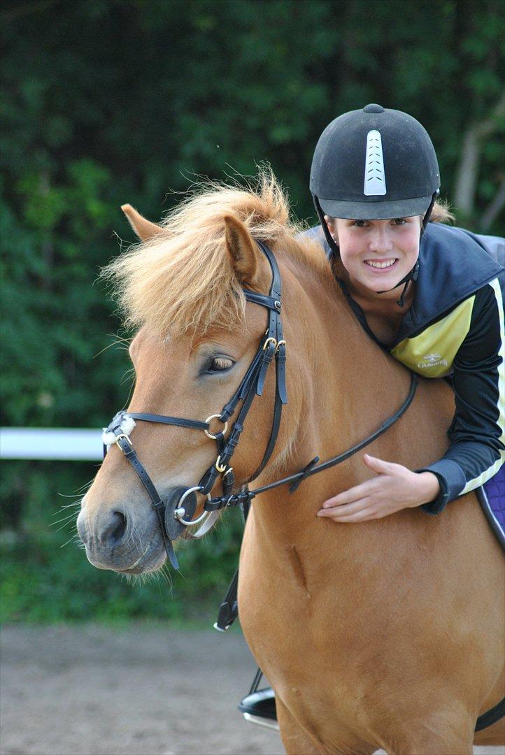 Islænder Gletta fra Stenbjerg.  - VELKOMMEN TIL GLETTAS PROFIL :-) 
- Lidt hygge inden træning d.4 juli 2011. Foto: Maiken Nielsen.  billede 1