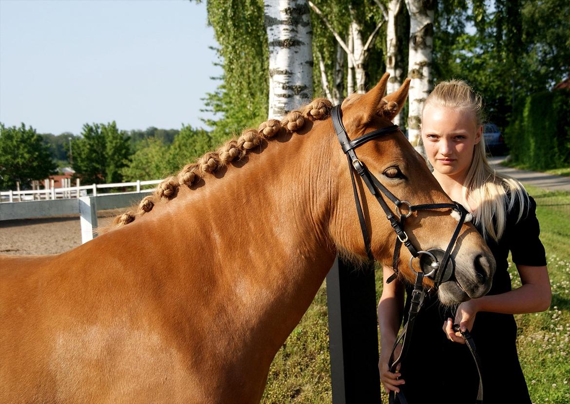 Islænder Gletta fra Stenbjerg.  - Camilla som står med Geltta til min konfirmation d. 5 juni 2011 foto: Sandra N. Larsen. billede 12