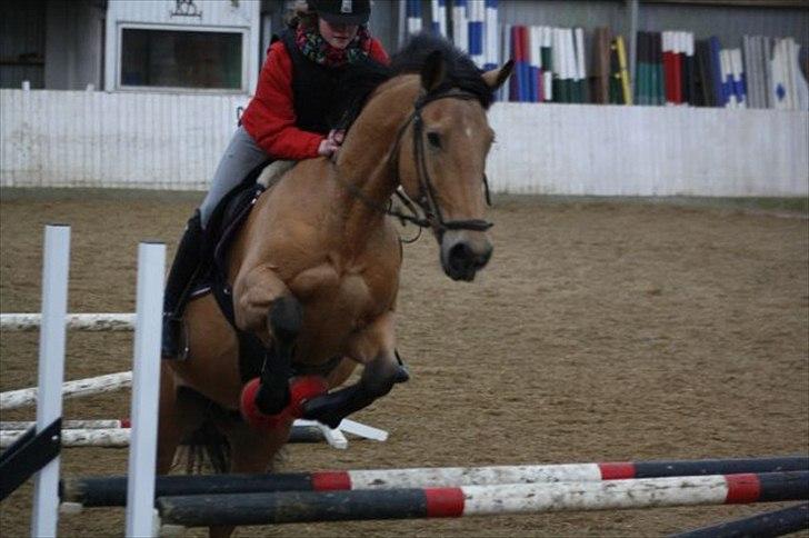 Anden særlig race Bratz <3 - Billede: Mia billede 11