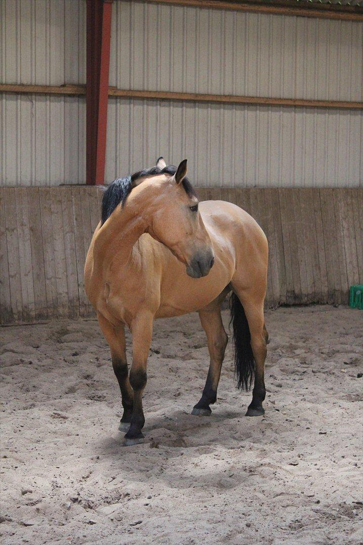 Anden særlig race Bratz <3 billede 5