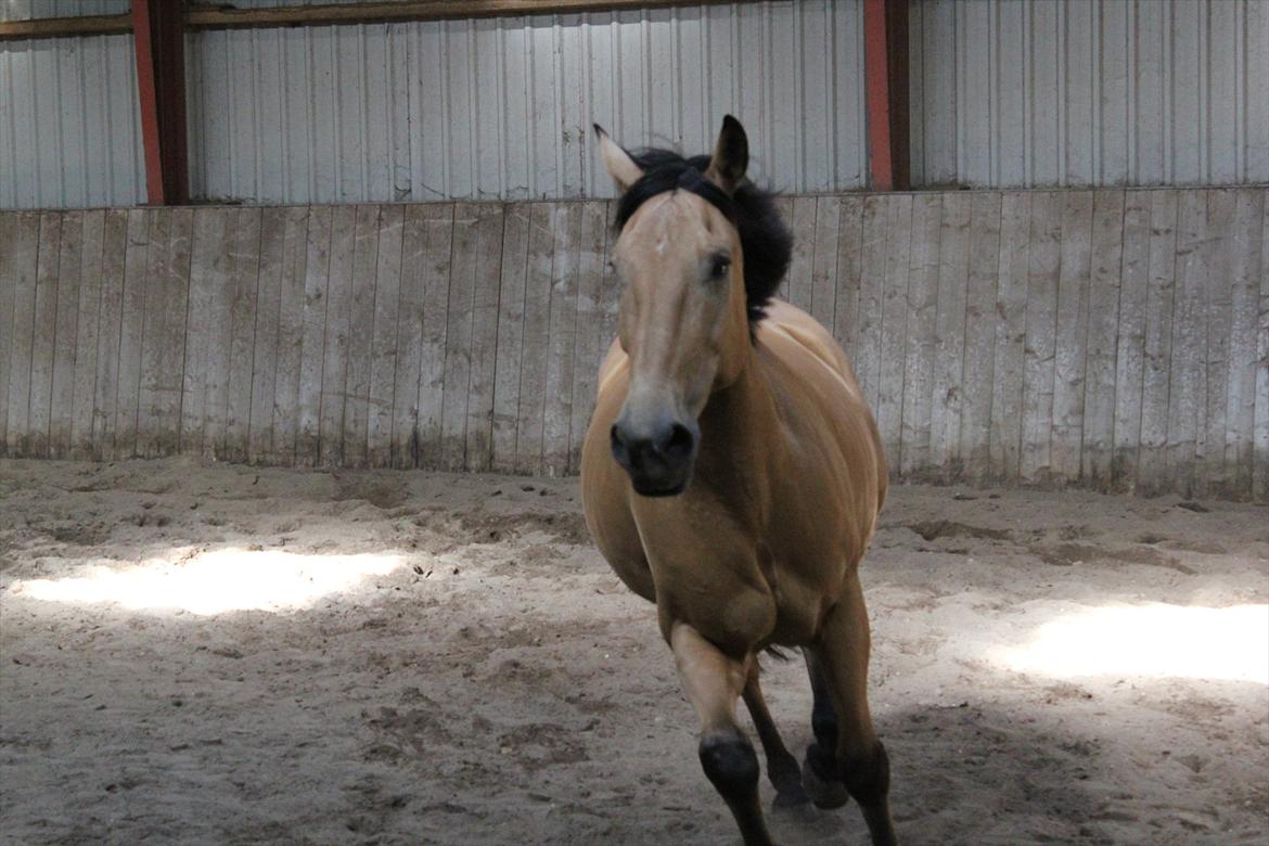 Anden særlig race Bratz <3 billede 12