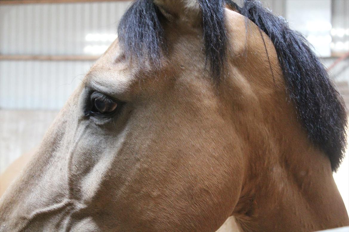 Anden særlig race Bratz <3 billede 14