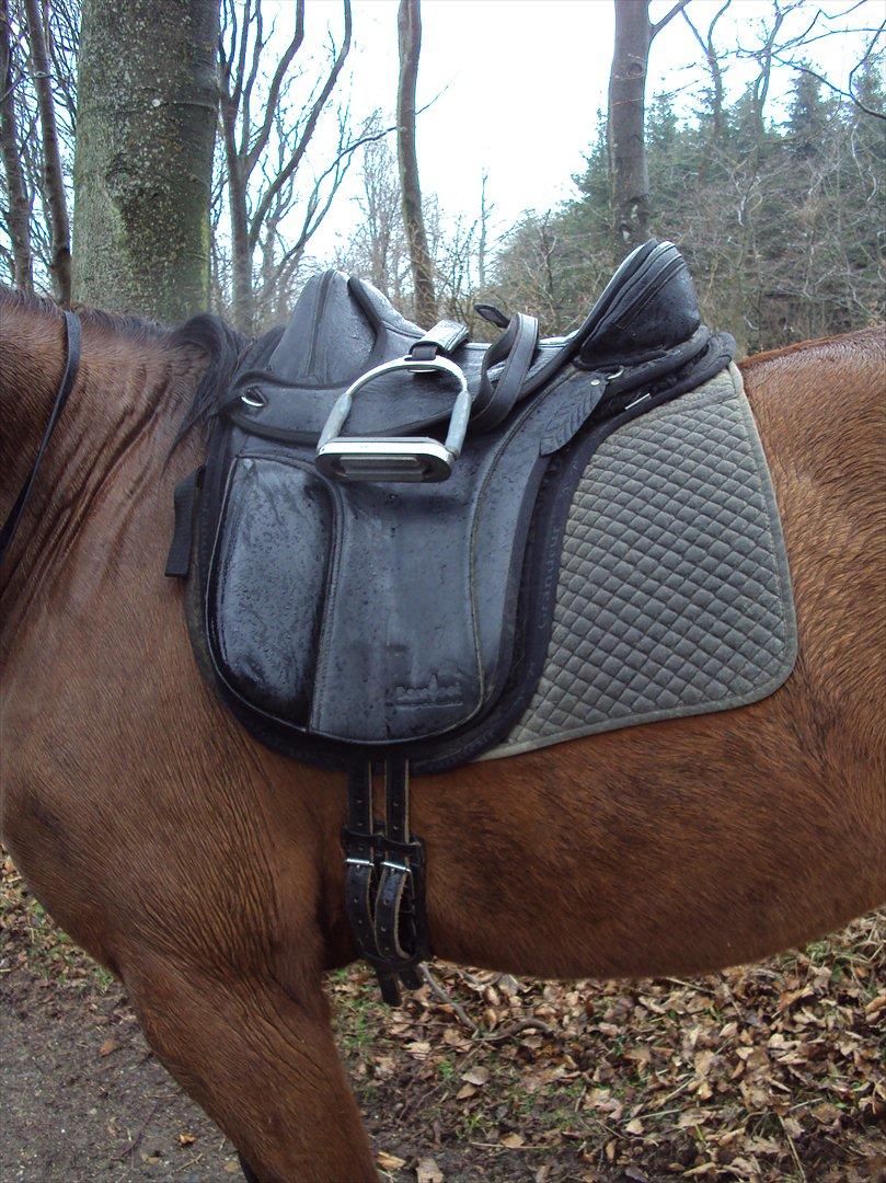Traver •*¨*•¸Surprise star¸•*¨*• - Barefoot London+Grandeur "Special" m. ægte lam, slids og 12 mm indlæg billede 5