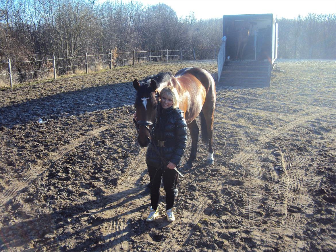 Dansk Varmblod Nørremøllehøjs Ali SOLGT - Speedy og mig! Taget oppe fra lastbilen.  billede 16