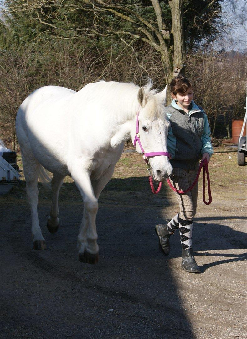 Anden særlig race Viola Snefnug Olsen - Viola og Pernille - dagen efter ankomsten til Butterhill  billede 15