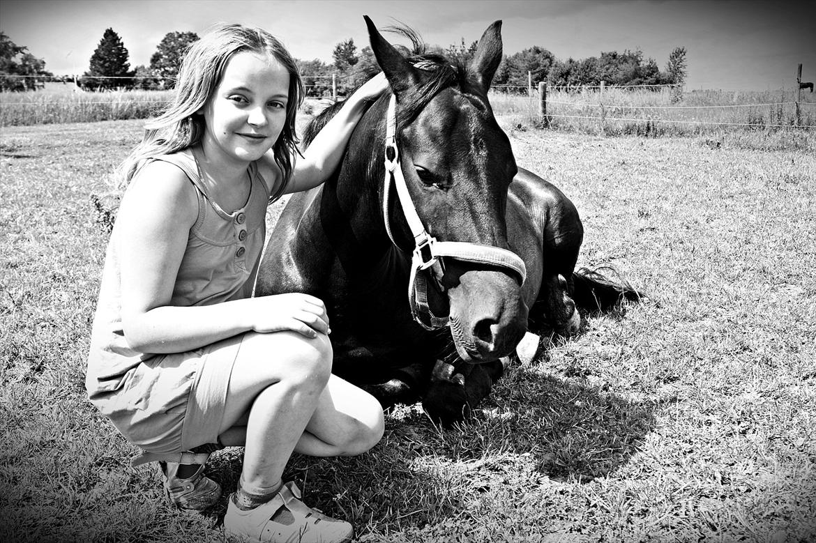 New Forest monica søblink<3 (solgt):'( - min prinssese 4-ever<3
foto: julie (min kusine) billede 4