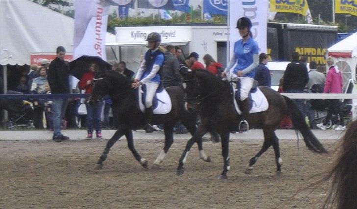 DSP Sebastian - Sebastian og Tai tanico under show billede 7