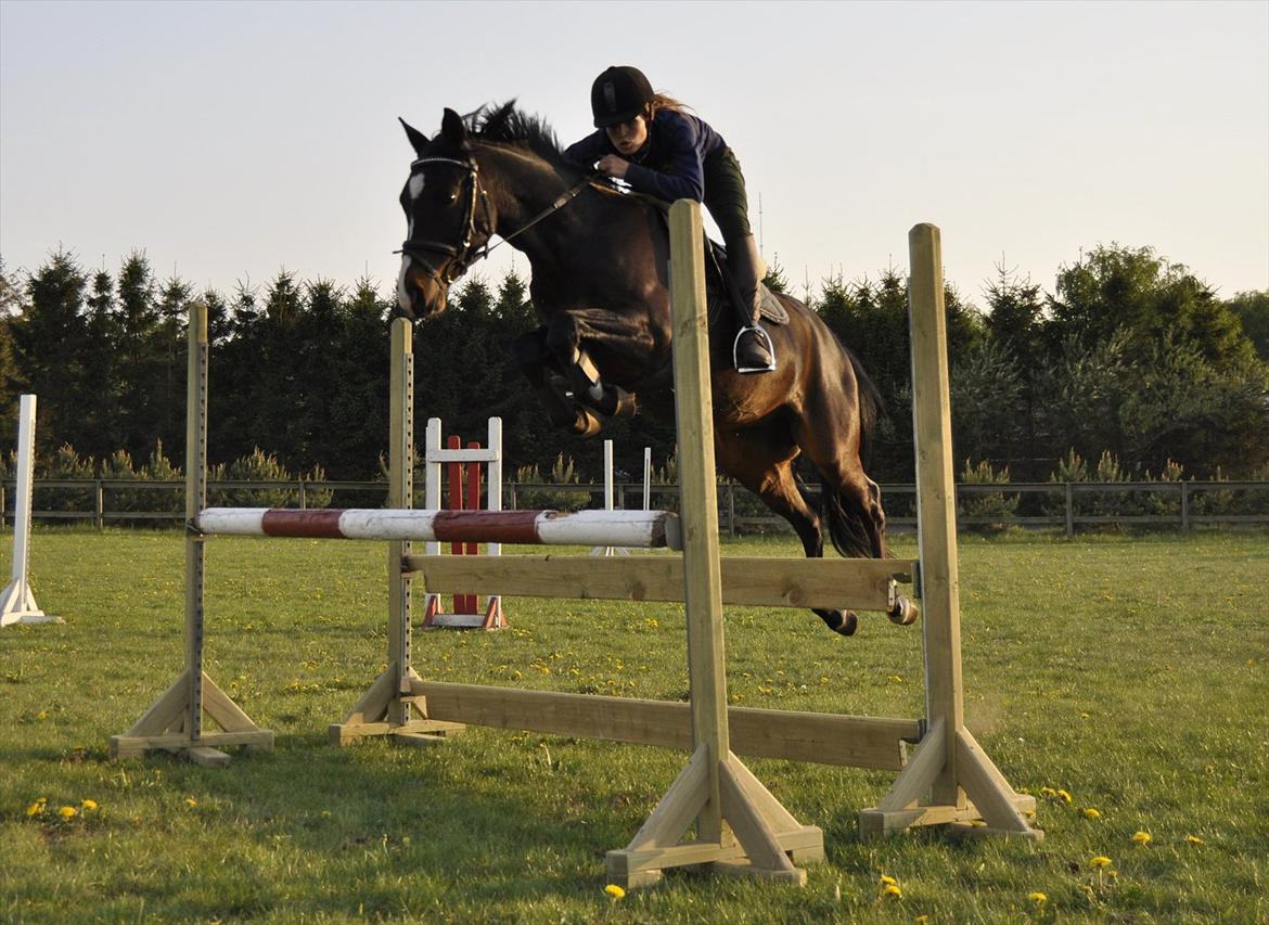 DSP Sebastian - Træning billede 14