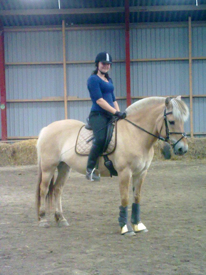Fjordhest Amalie Stanstorp - Min dejlige pony, der er ved at blive dygtig til dressur! ;)  billede 17