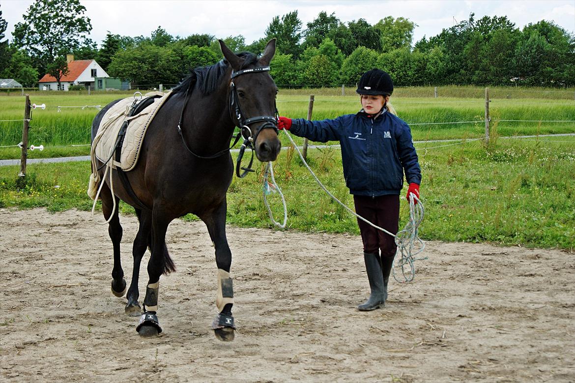 New Forest monica søblink<3 (solgt):'( - kom så monica ud i siden med dig:)
foto: julie (min kusine) billede 7