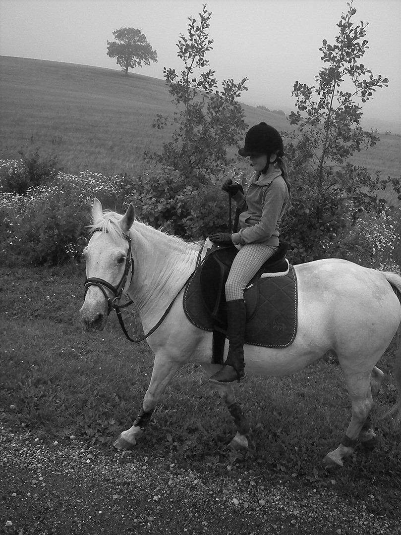 Anden særlig race Viola Snefnug Olsen - Pernille og Jeg ude og skridte af ned af vejen (fotografen er så mig, som sidder på ryggen af Basse :) ) billede 18