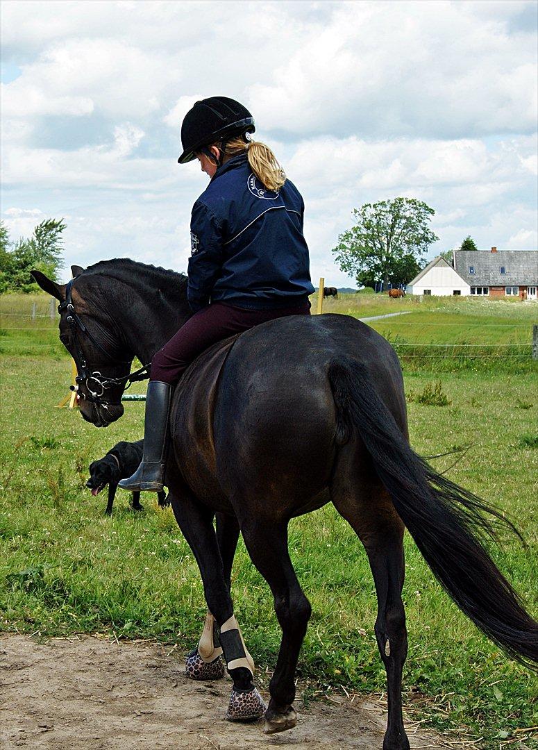 New Forest monica søblink<3 (solgt):'( - jeg rider uden sadel jubiii <3
foto: julie (min kusine) billede 8