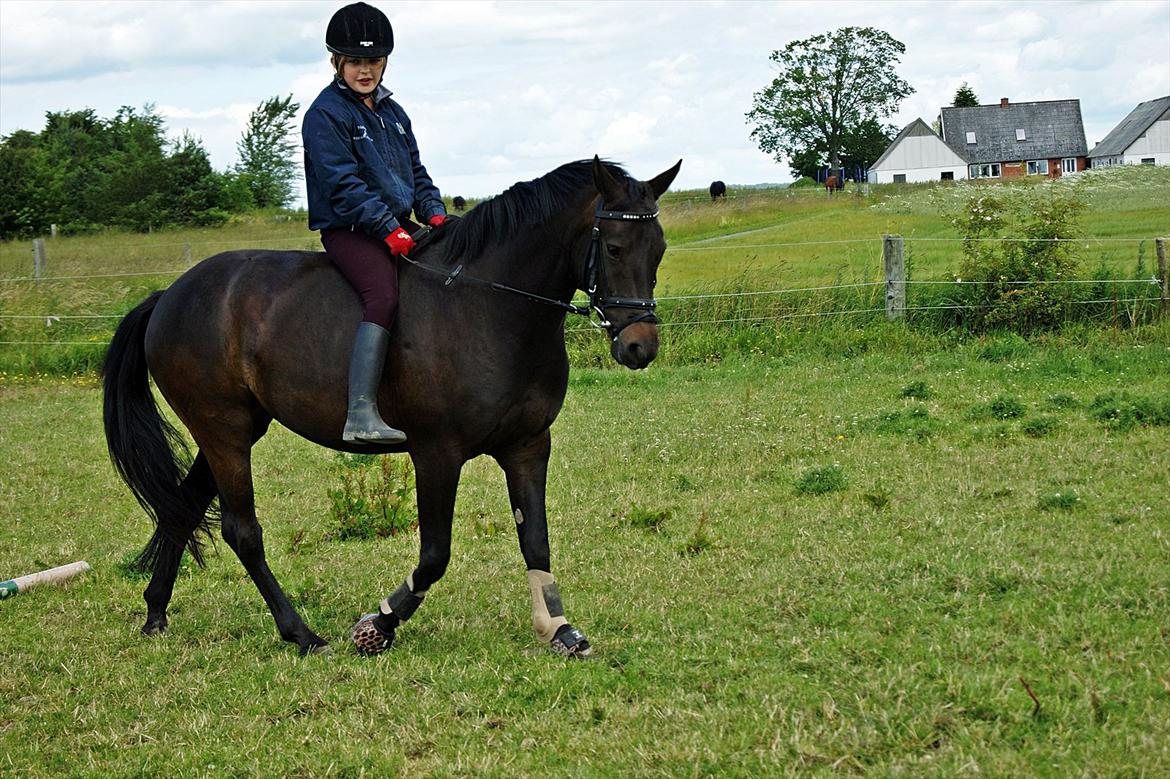 New Forest monica søblink<3 (solgt):'( - elsker dig monica<3
foto: julie (min kusine) billede 10