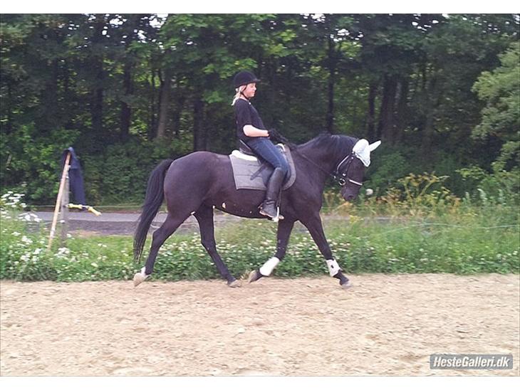 {{currentPhoto.altText}} billede {{currentPhoto.number}}