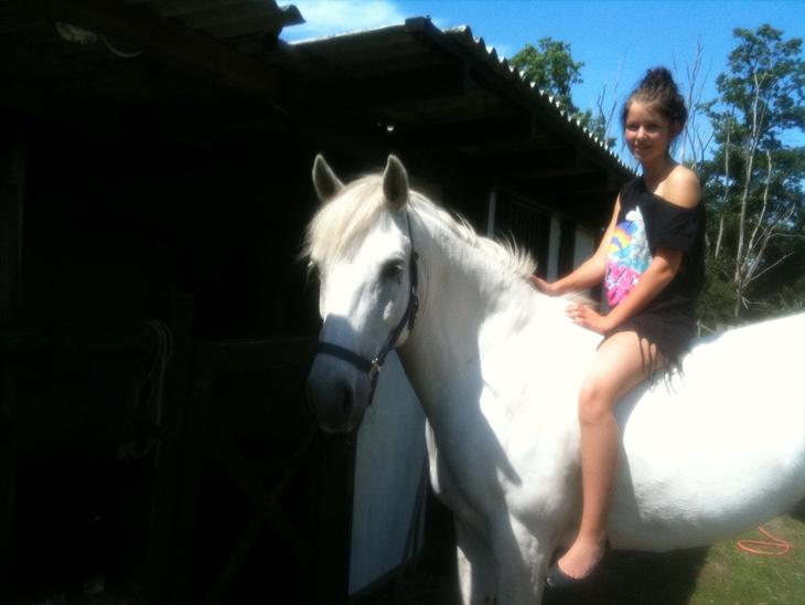 {{currentPhoto.altText}} billede {{currentPhoto.number}}