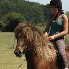 Islænder Næmi fra Ravnekrogen