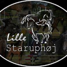 Dansk Varmblod Lillestaruphøjs Capriano