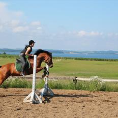 Anden særlig race  Pardo - A Part Of Me! :*