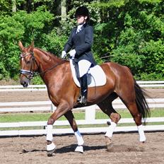 Oldenborg LINETTE HÆRUP