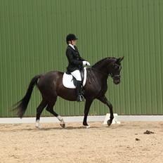 Tysk Sportspony Starlight <3 *Tøsen* *solgt*