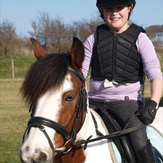 Anden særlig race Mr. Blue<3