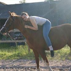 Svensk Sportspony  | Isabell.<3 *solgt*