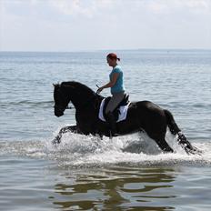 Frieser .:Trouble- STER:.  :'(