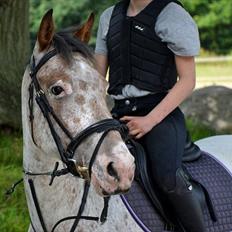 Appaloosa Erica