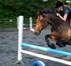 Anden særlig race Liva the Diva *R.I.P.*