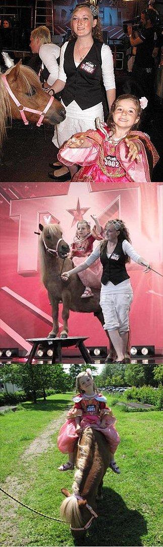 Shetlænder Sofus billede 9