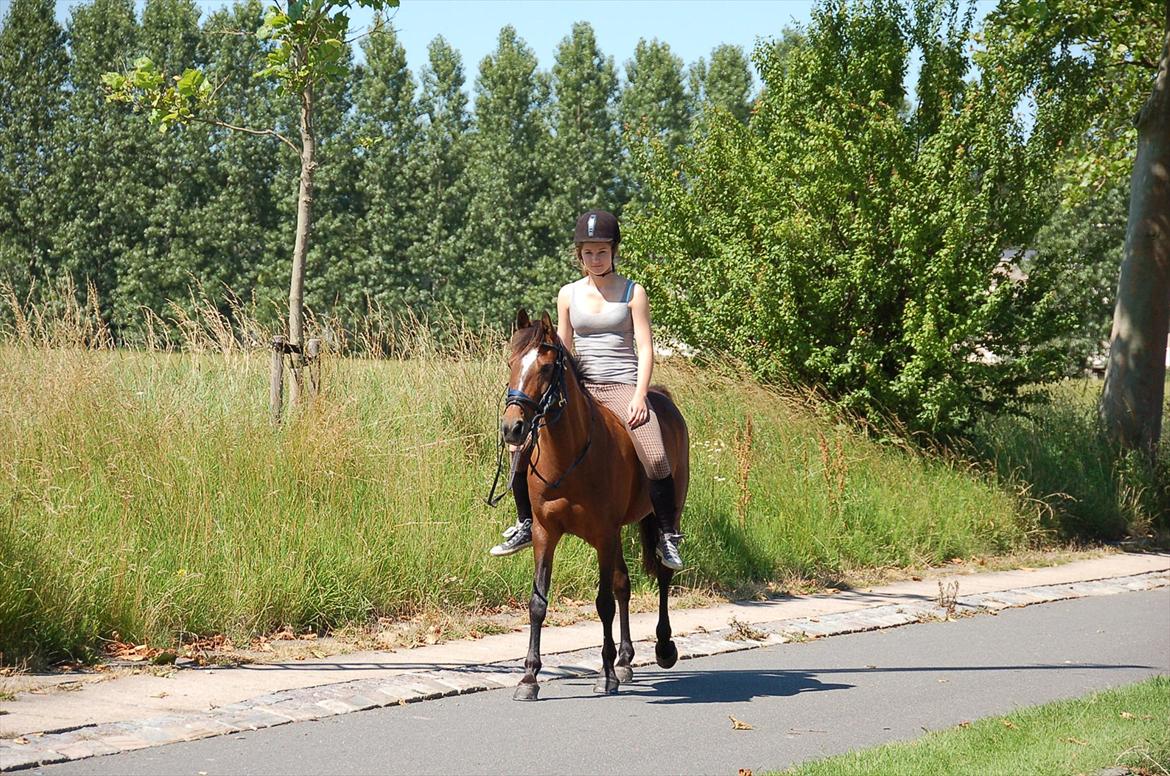 Anden særlig race Emma Embrace <3 billede 15