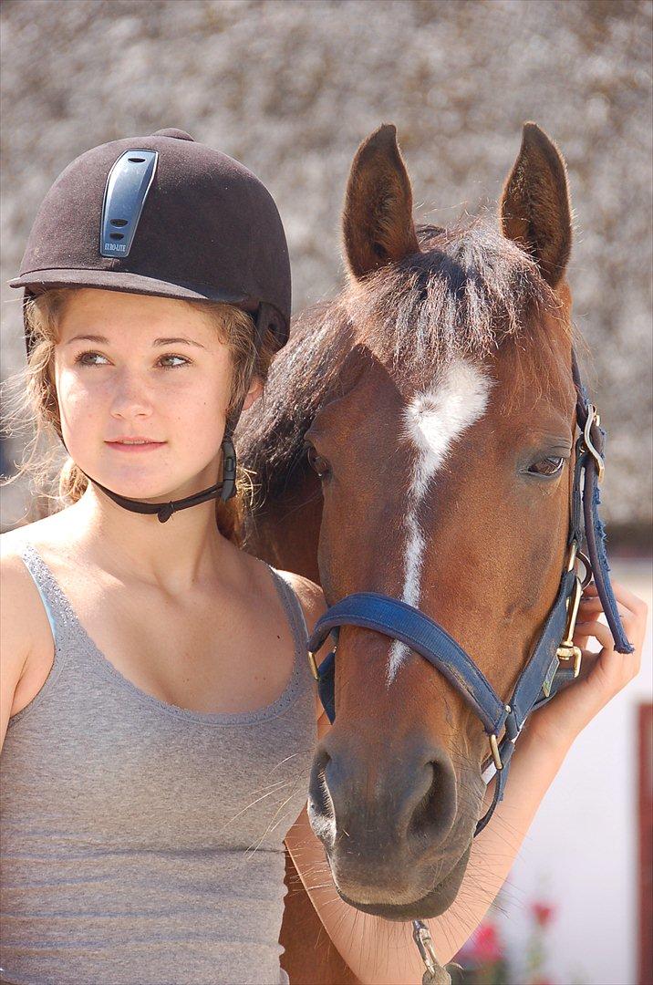 Anden særlig race Emma Embrace <3 - jeg ELSKER den pony! foto: min mor billede 5