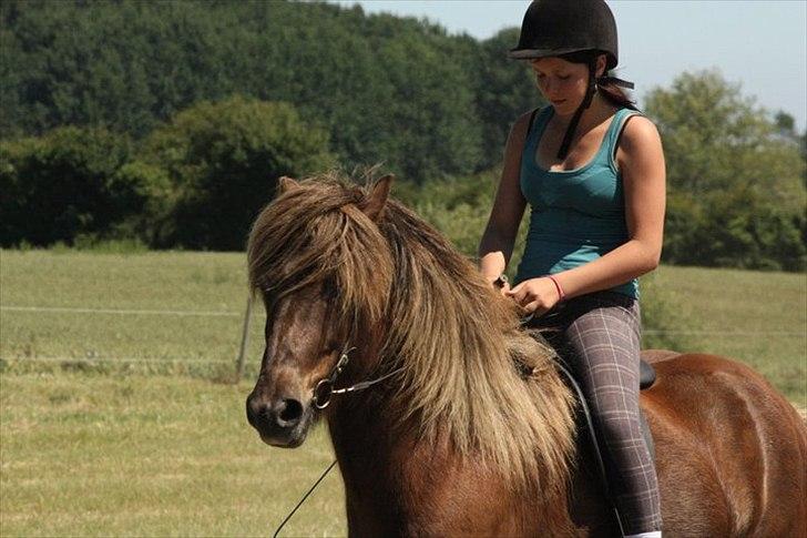 Islænder Næmi fra Ravnekrogen - Skeifa juniorlejr  2011. Foto: Mette Olesen billede 1