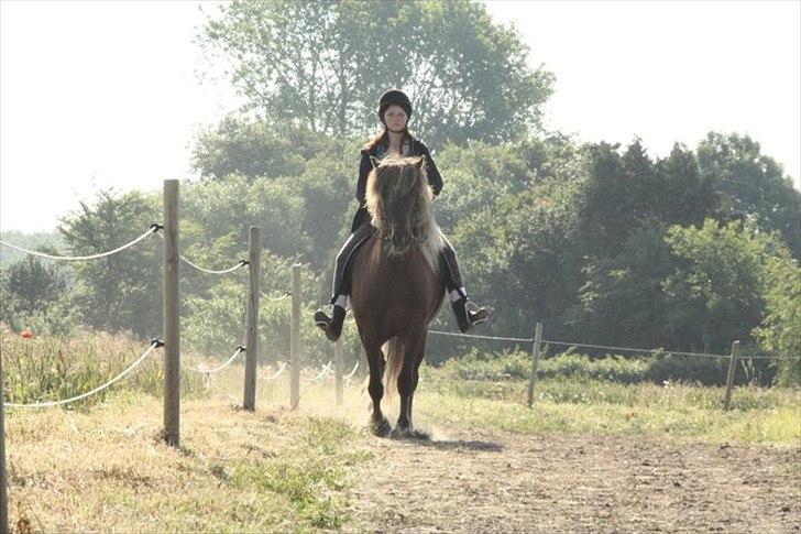 Islænder Næmi fra Ravnekrogen - Skeifa juniorlejr 2011. Foto: Mette Olesen billede 4