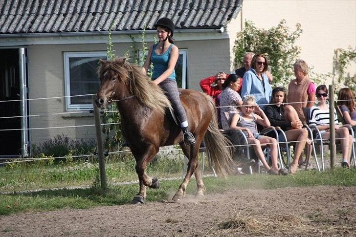 Islænder Næmi fra Ravnekrogen -  Skeifa juniorlejr 2011. Foto: Mette Olesen billede 5