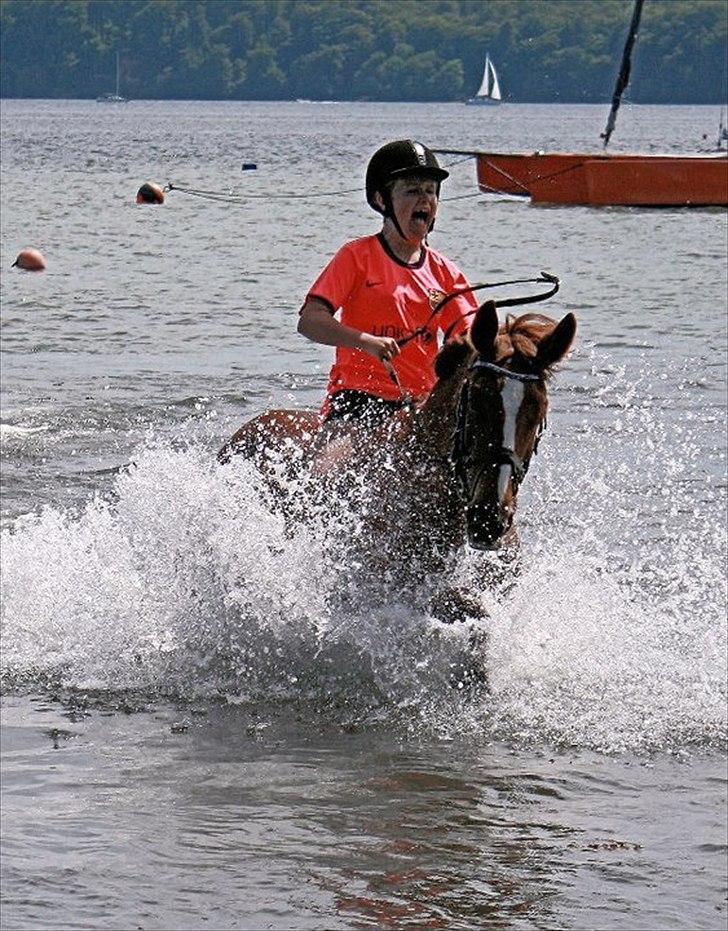 Anden særlig race Red Alert solgt billede 1