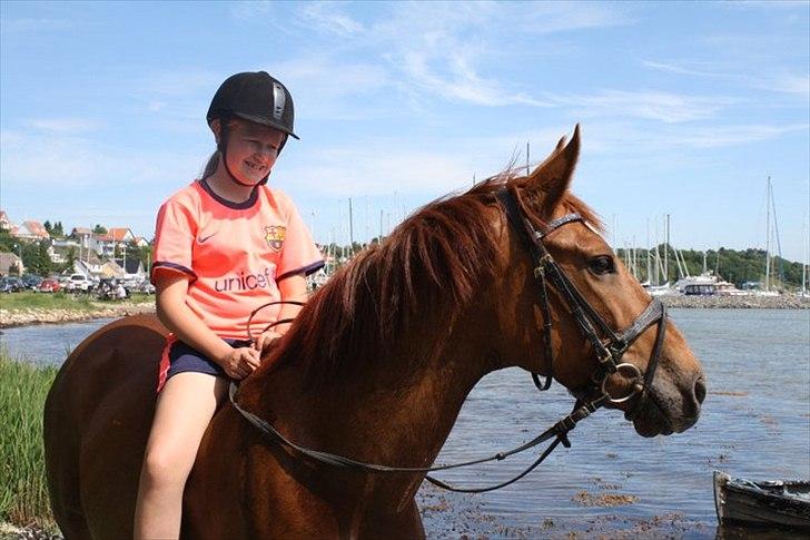 Anden særlig race Red Alert solgt billede 11