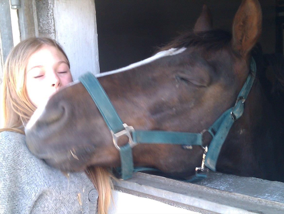 New Forest - Quark»||My Soulmate<3|| billede 9