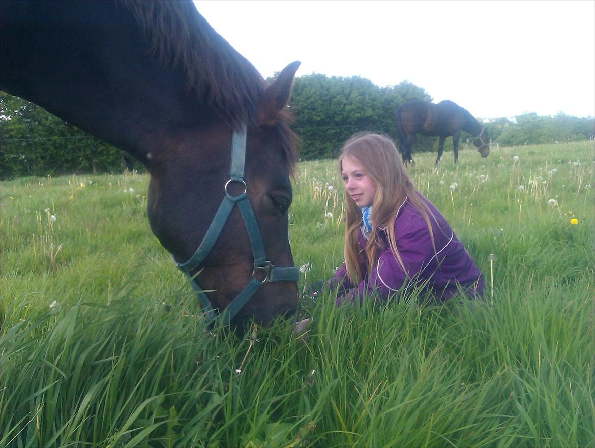 New Forest - Quark»||My Soulmate<3|| billede 11