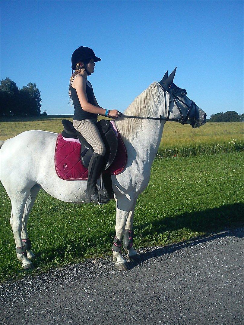 Anden særlig race Viola Snefnug Olsen - Stilbillede foran marken :) billede 20