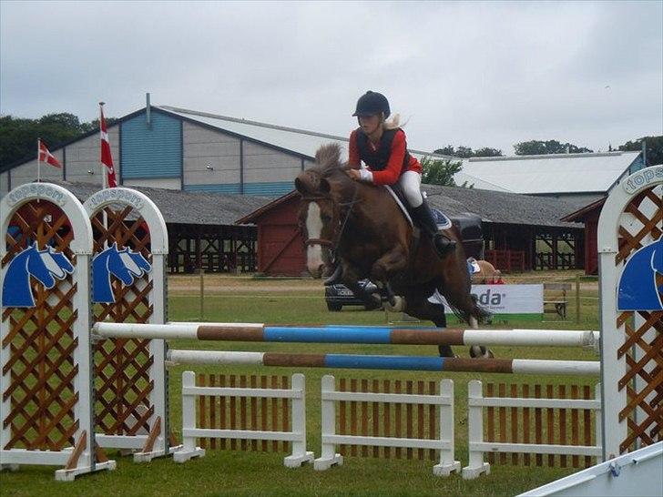 DSP Sønderlunds Asanti B-pony R.I.P - mb2 til lansstævne i Boller :) juni 2011 billede 2