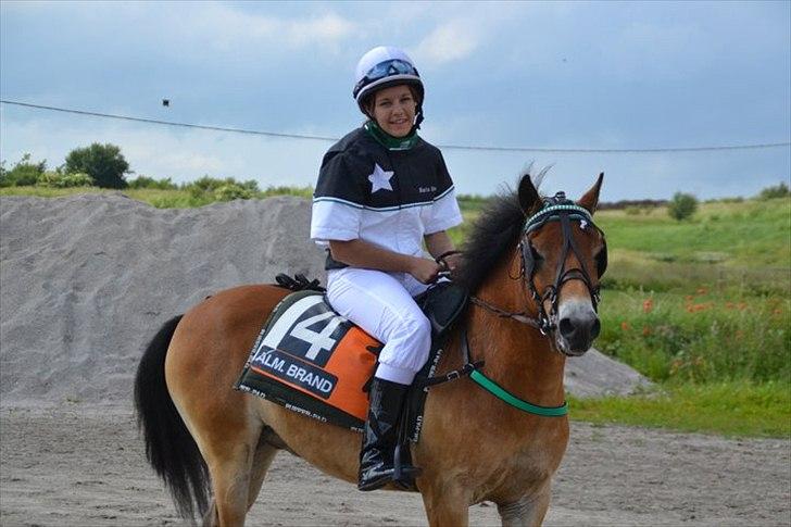 Gotlandsruss Bobbi SOLGT <3 - (NYT!) Mig og Bubber på Nyk. :-)<3 billede 8