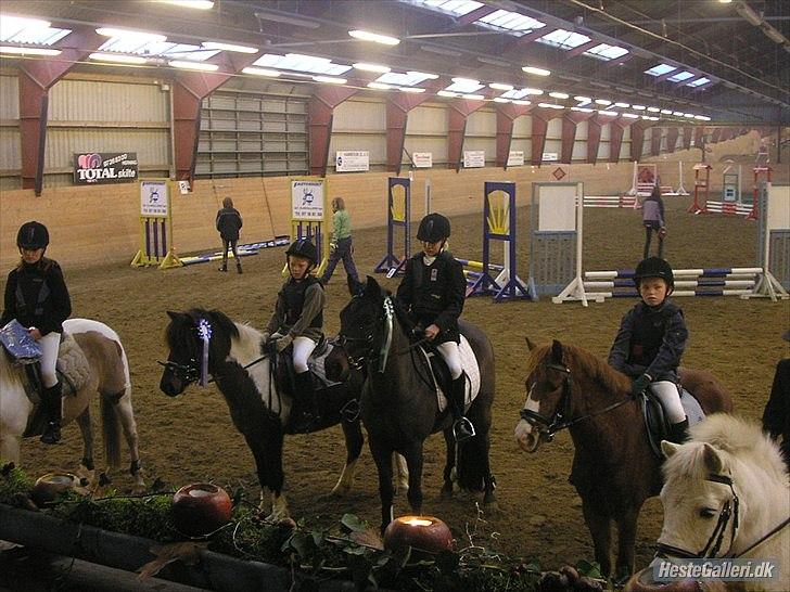 New Forest StaldBakkens IbrahimSOLGT - Katrine og Ibrahim til præmieoverrækkelse:-) billede 20