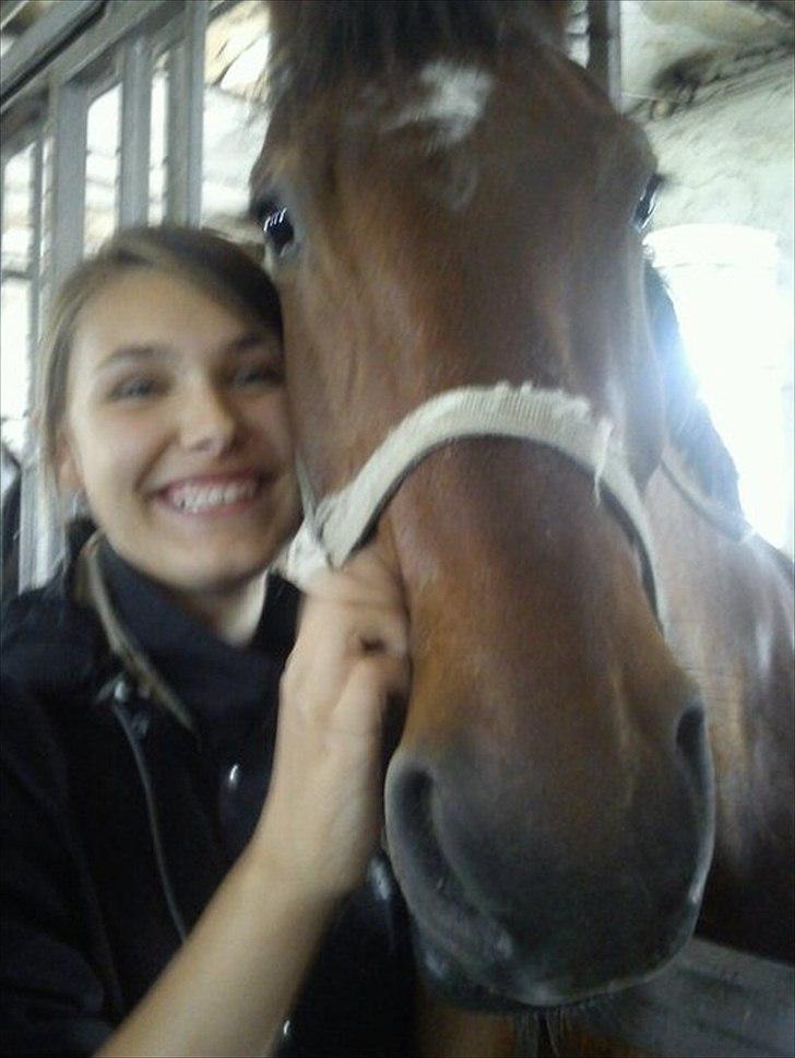 Anden særlig race Ludwig billede 2