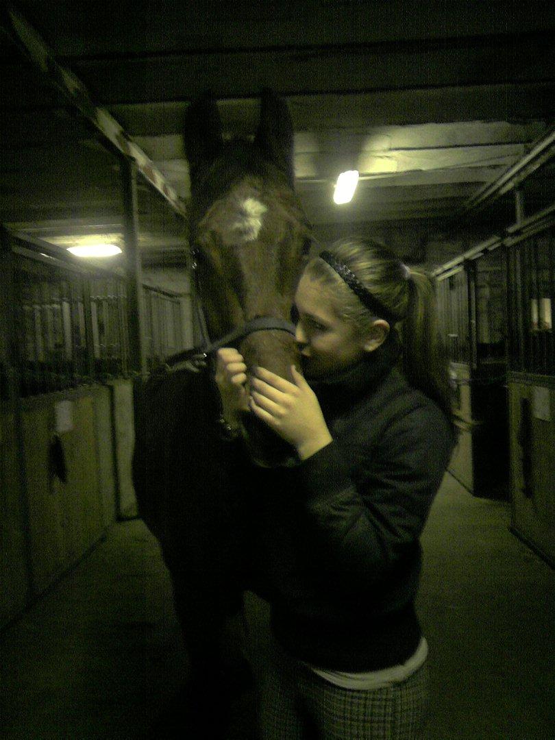 Anden særlig race Ludwig billede 3