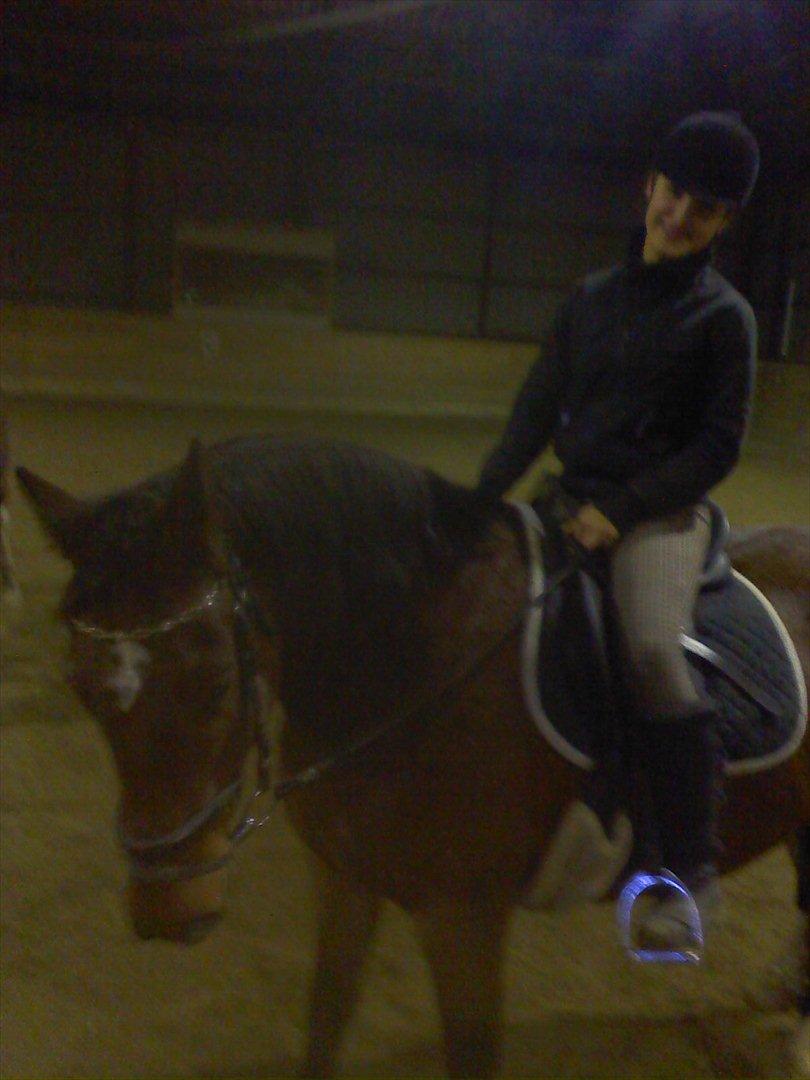 Anden særlig race Ludwig billede 4