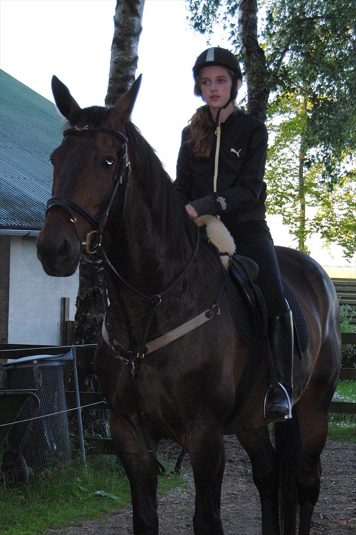 Oldenborg Buddy - Buddy og mig. (-: billede 6